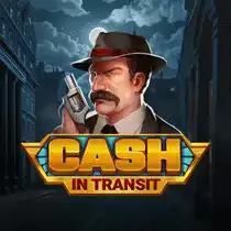 Cash In Transit